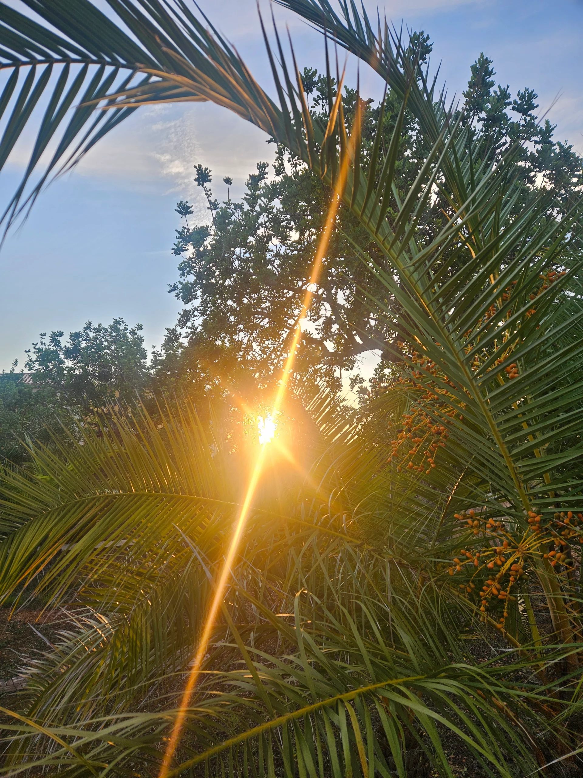 Mallorca Retreat 2027