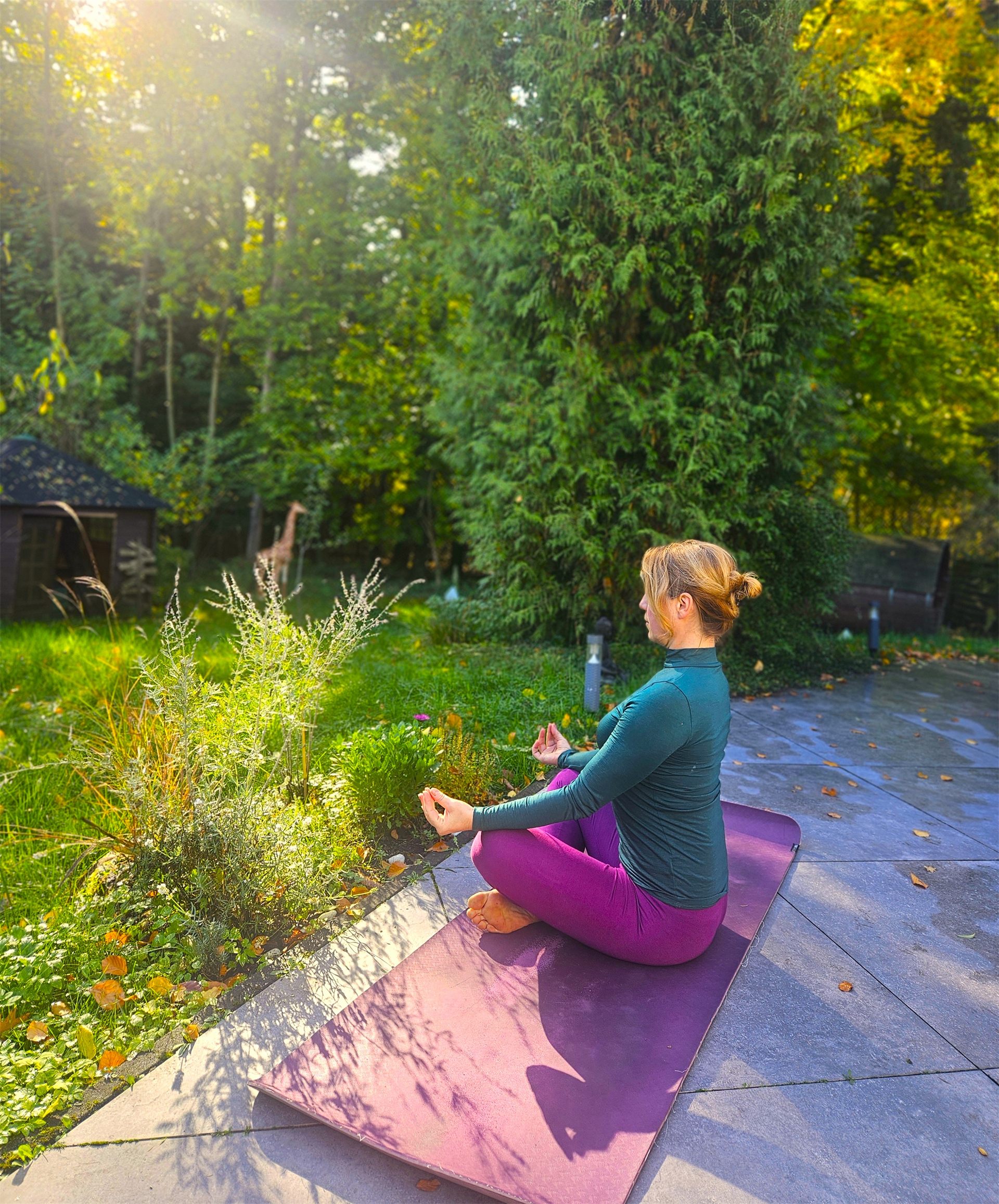 Meditation am Waldrand im Herbstlicht